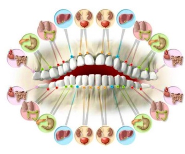 Odontologia-holistica Odontologia-holistica